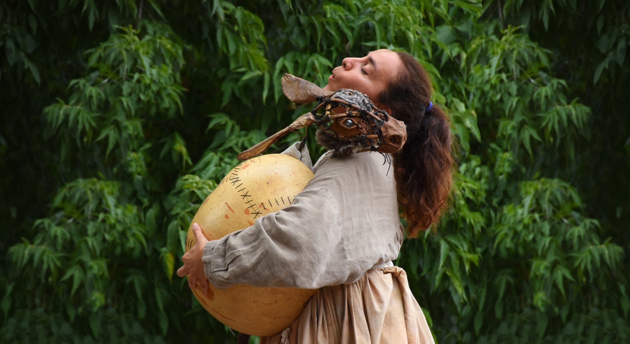 Burros