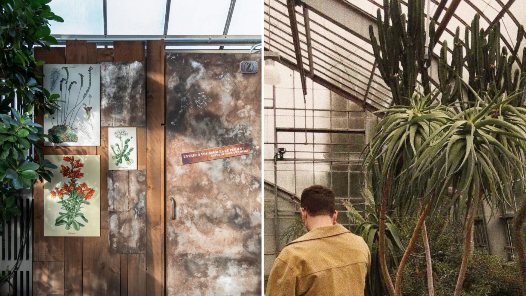 Visiter le nouveau Jardin de l'étrange du Jardin botanique