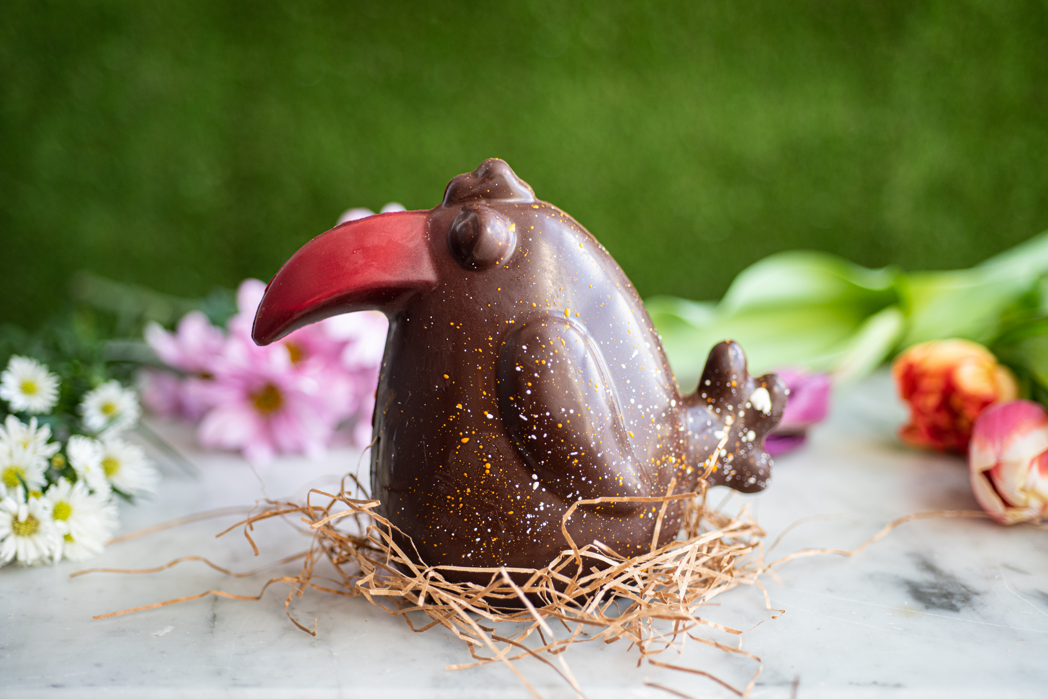 Toucan au chocolat noir