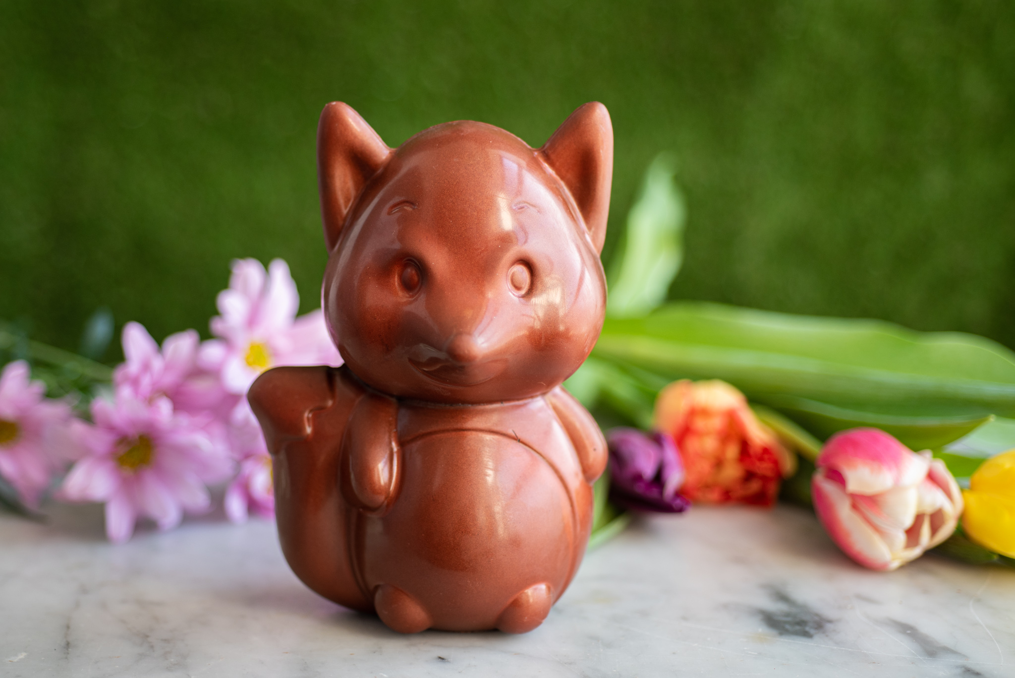 Renard au chocolat au lait