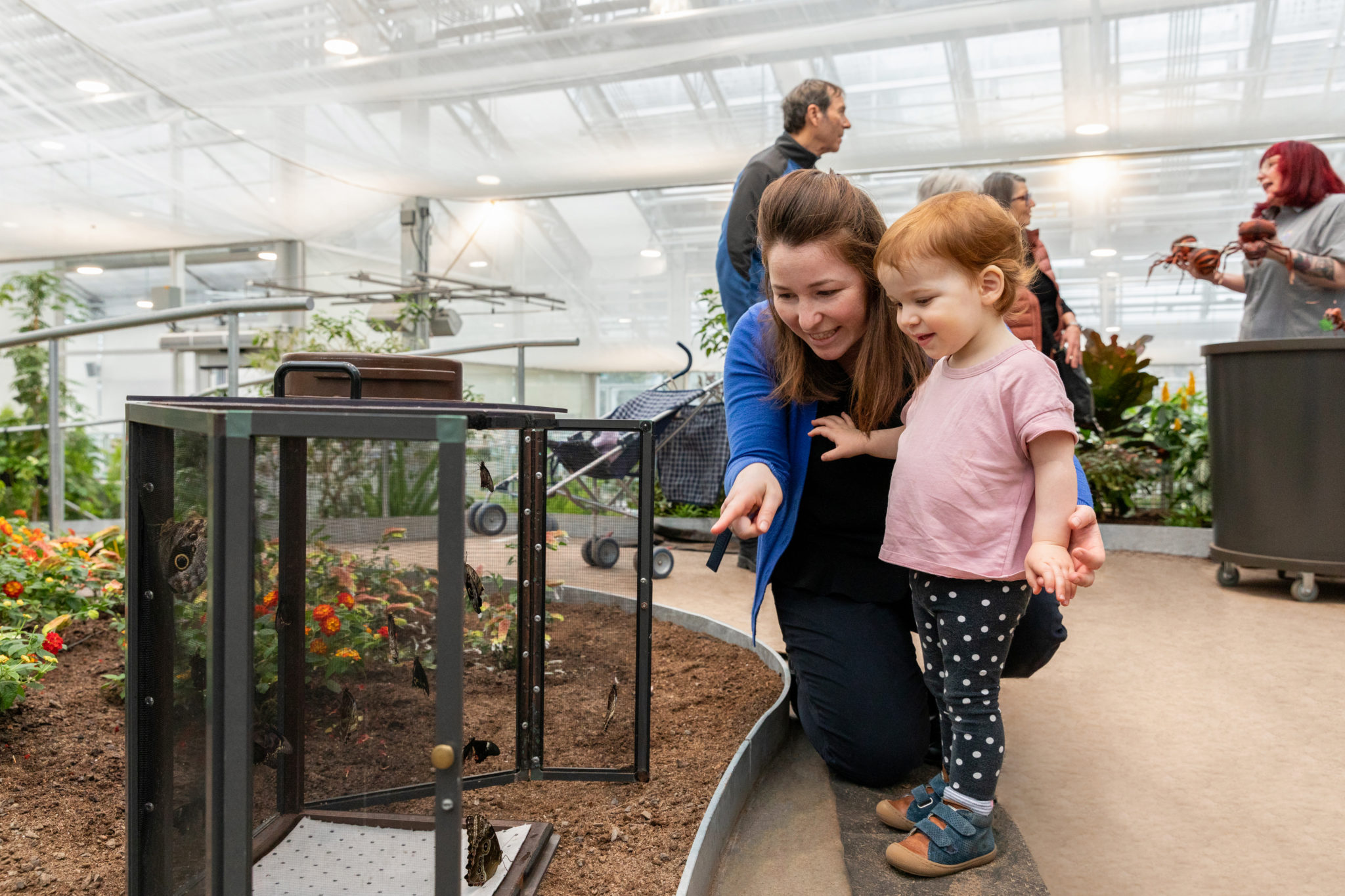 Découvrir le nouvel Insectarium