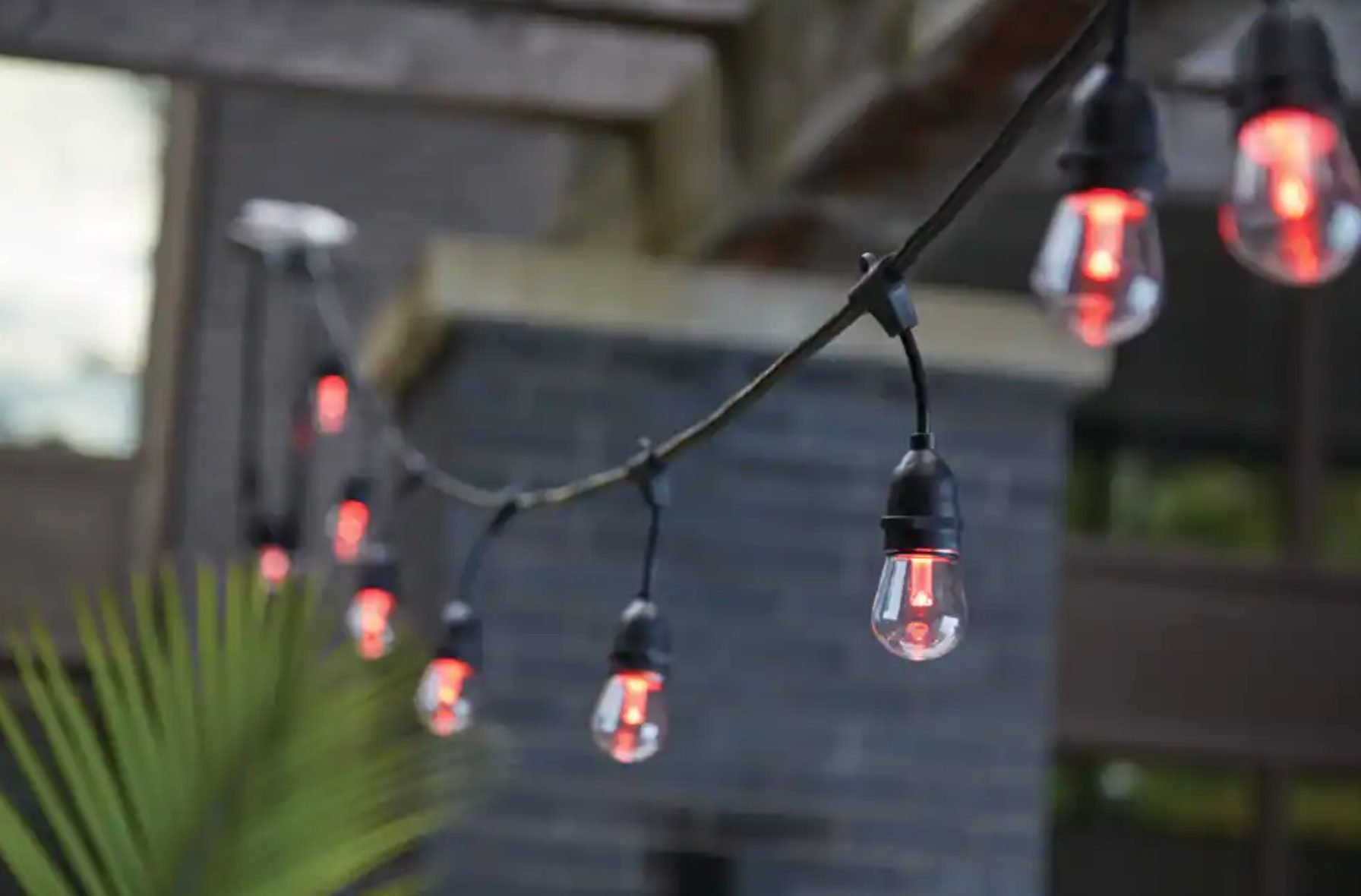 Des guirlandes de lumière
