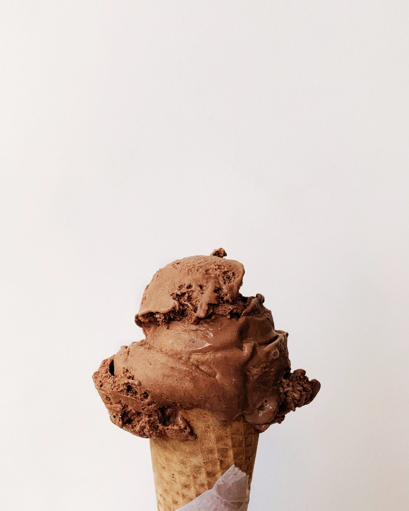 Scorpion : Chocolat