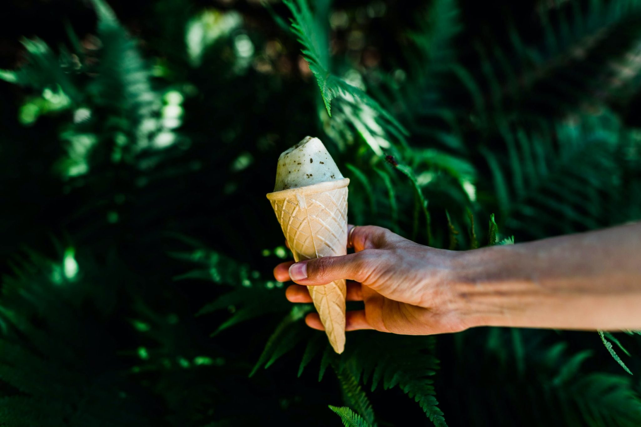 Bélier : Chocolat à la menthe