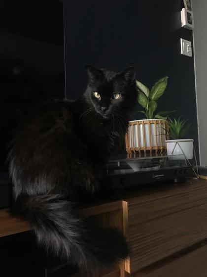 Micah