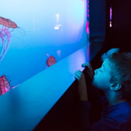Aquarium de Québec