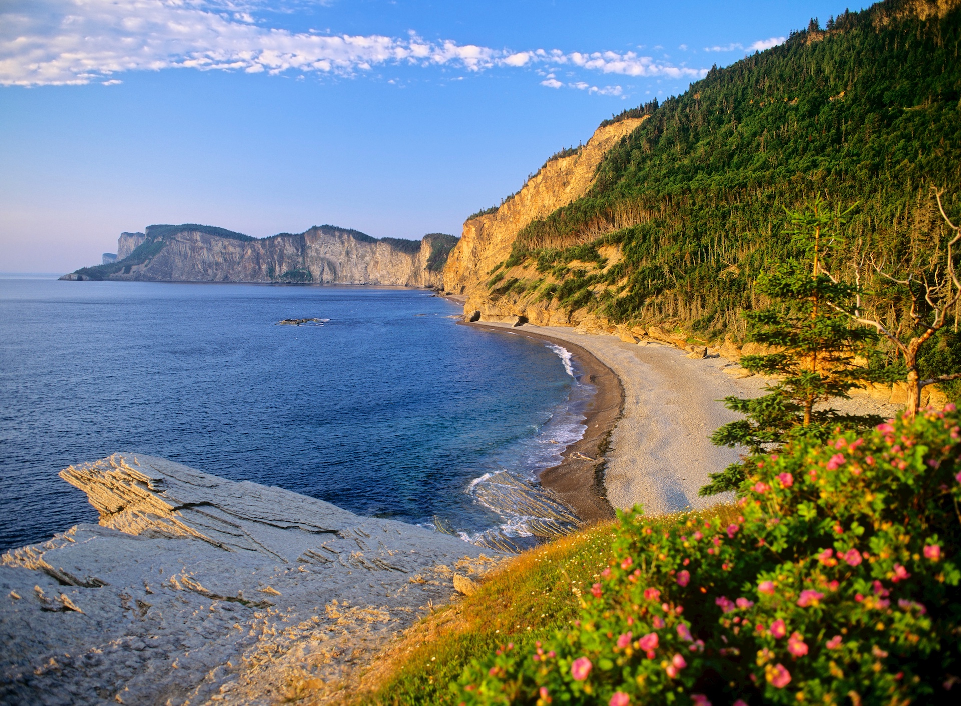 Gaspé