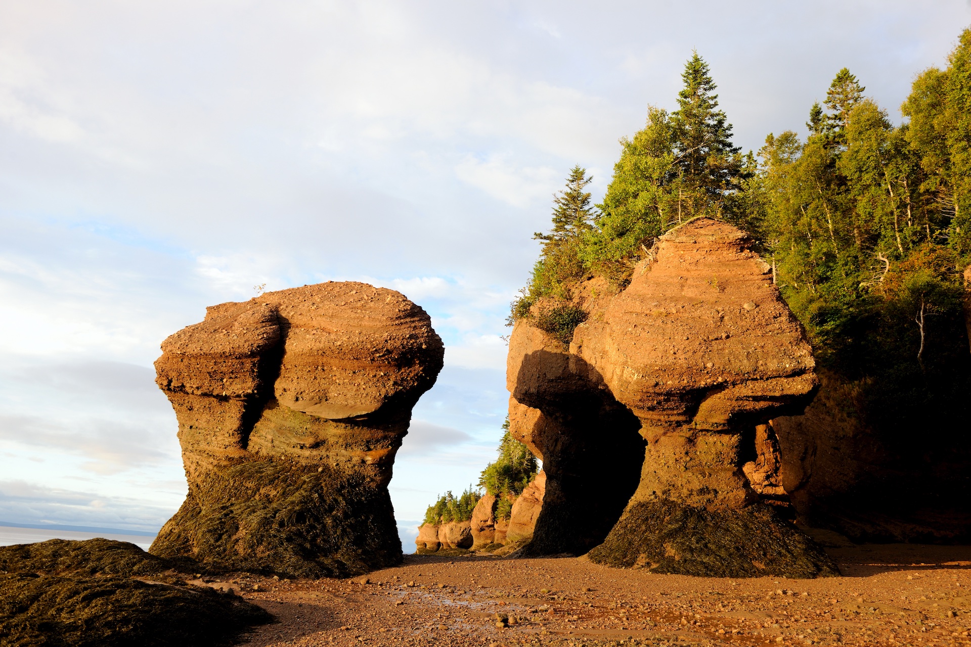 Baie de Fundy
