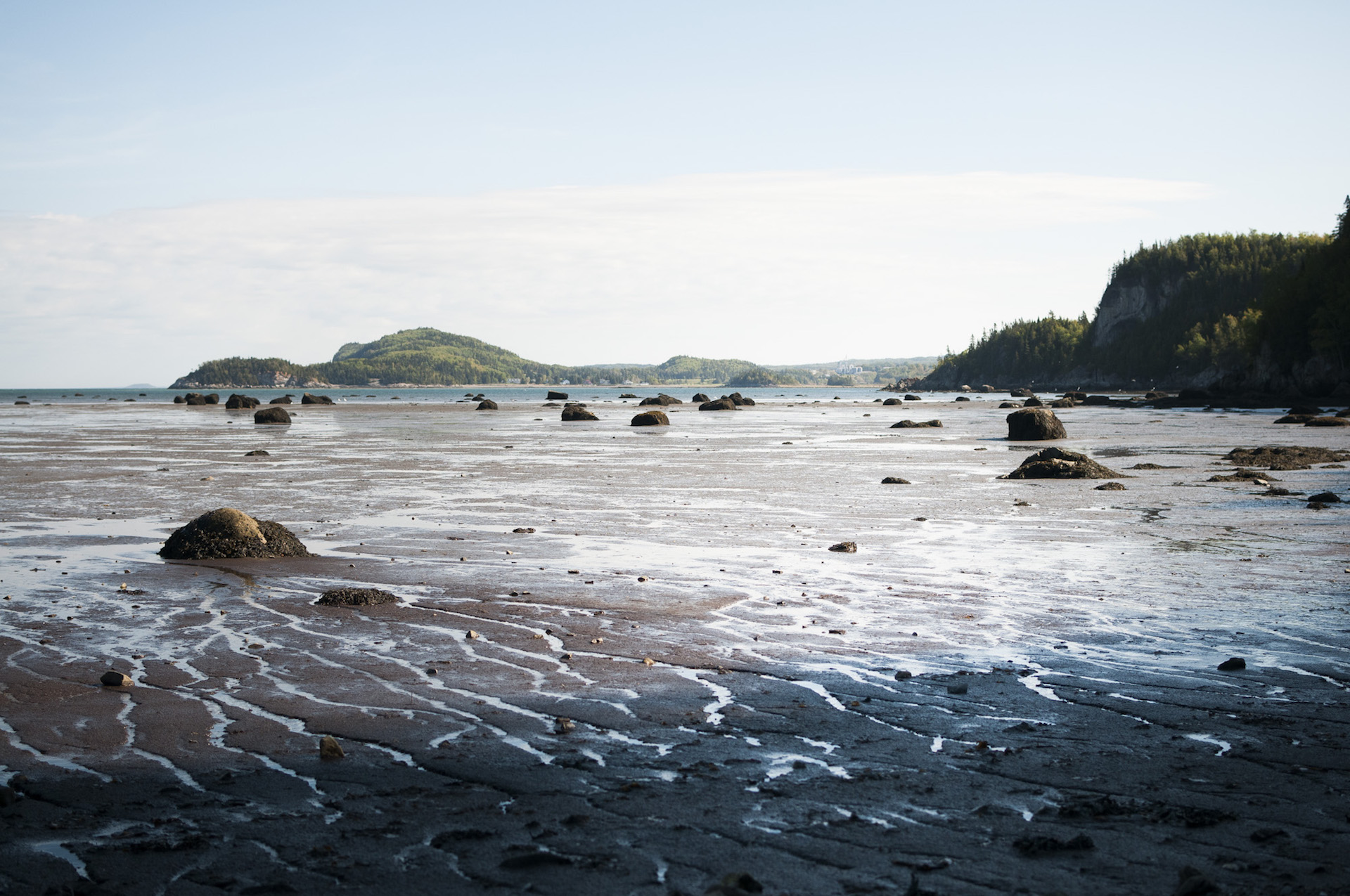 Parc du Bic