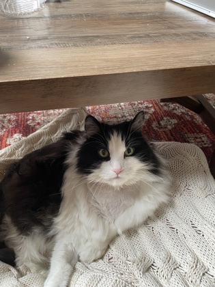 Linus