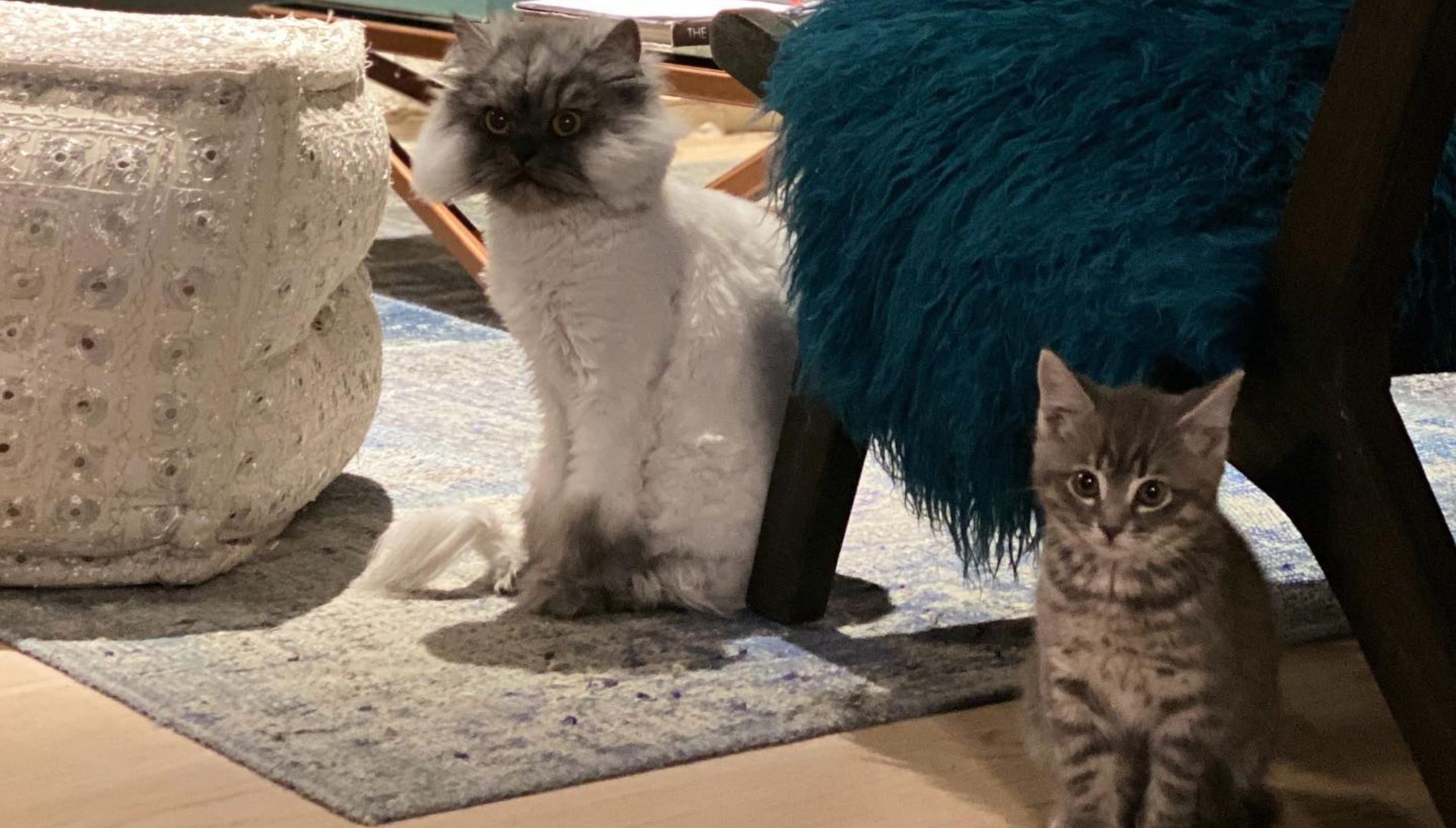 Mila et Lili