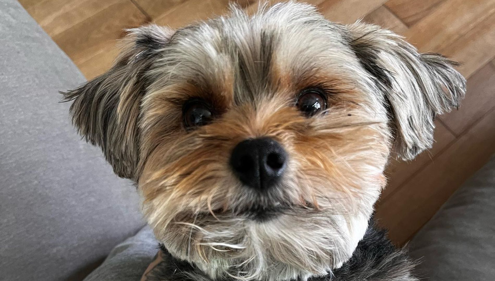 Paco