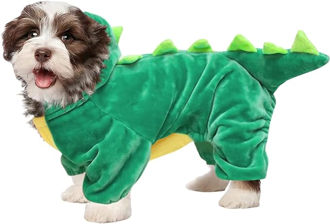 Dinosaure
