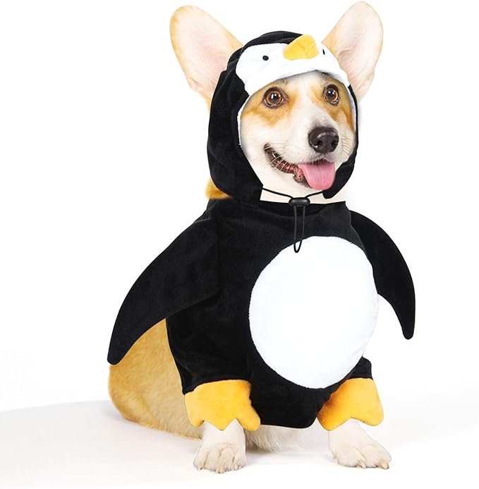 Pingouin