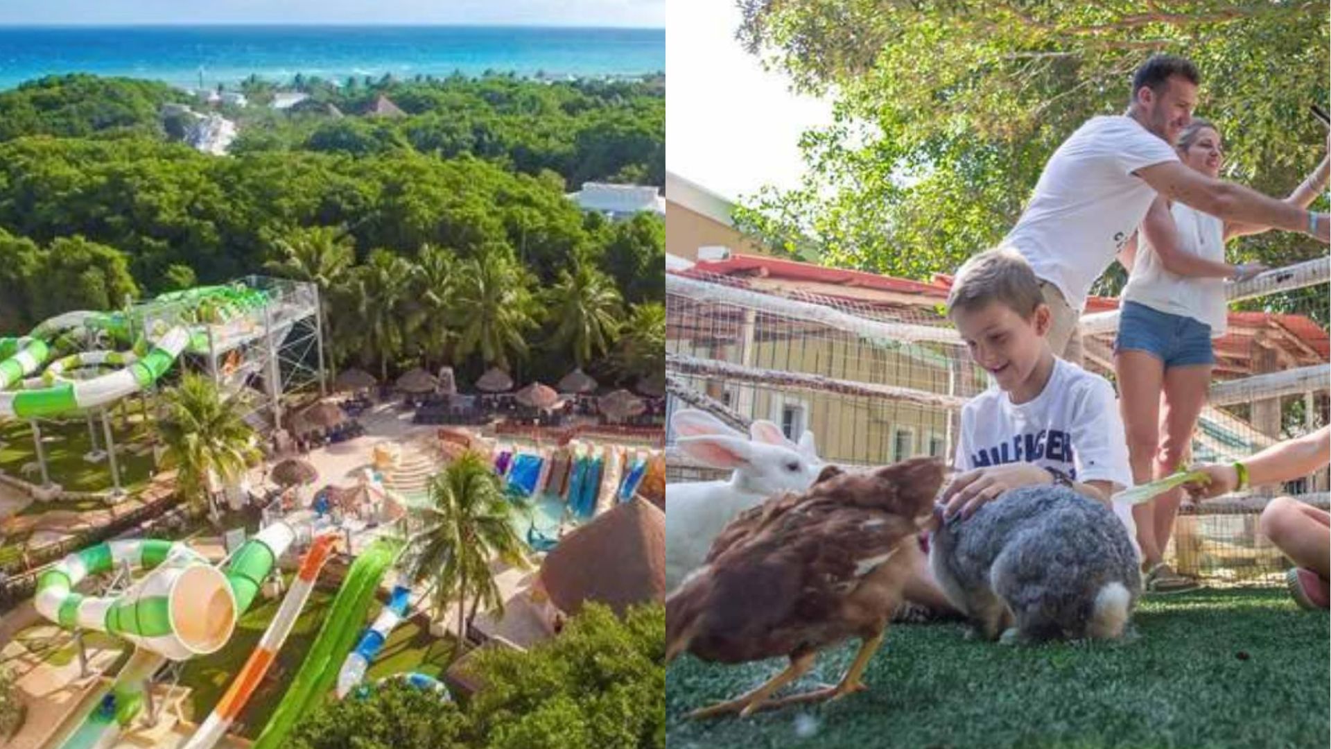 Sandos Caracol-Playa Del Carmen