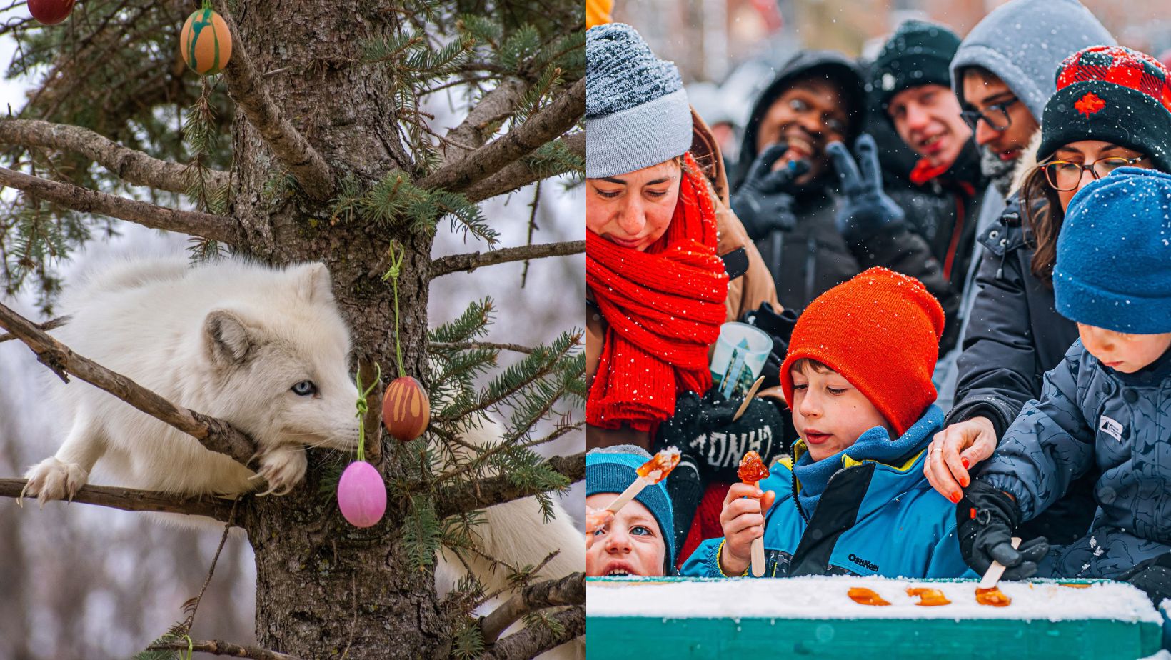 8 activités familiales spéciales pour célébrer Pâques!