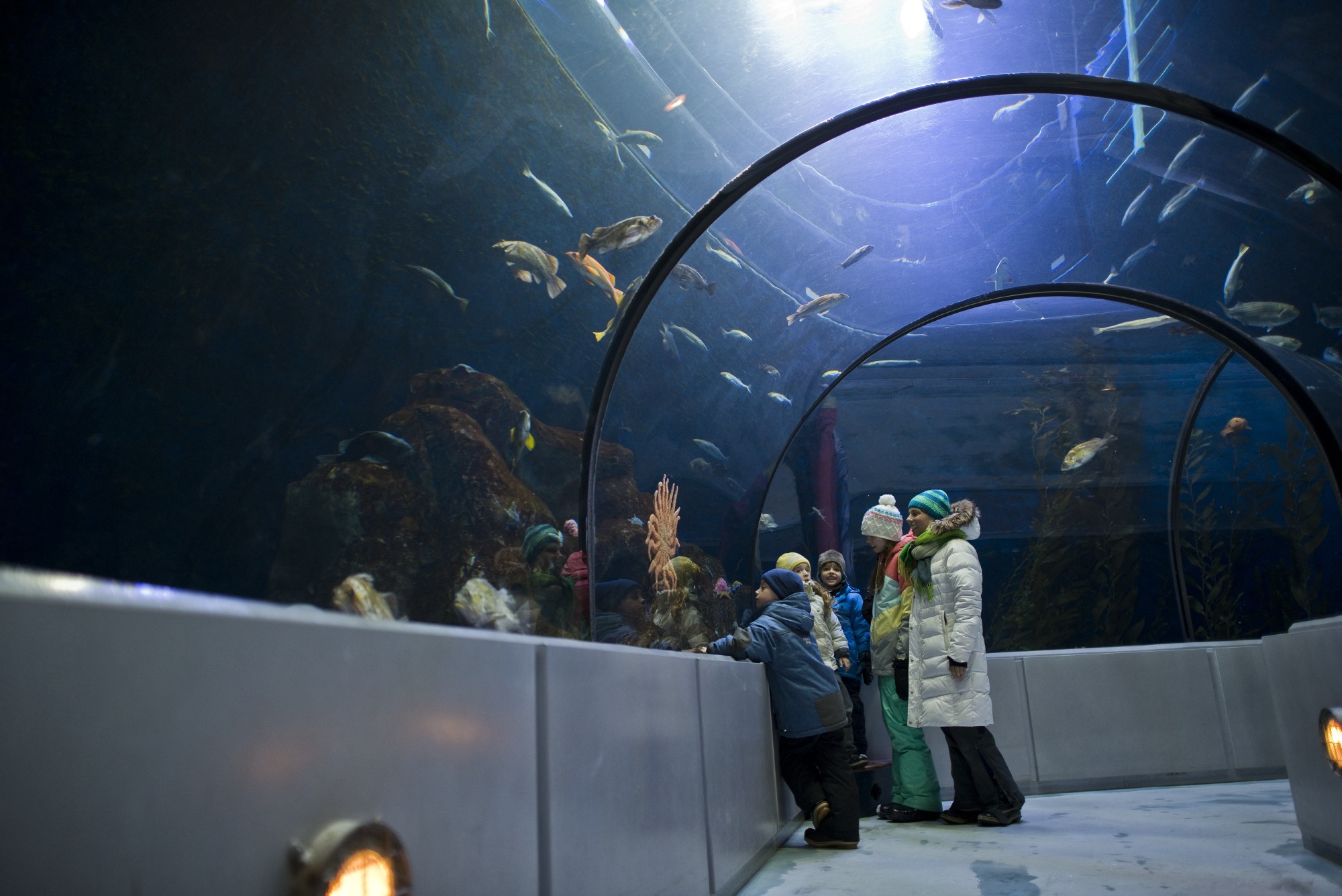 L’Aquarium du Québec