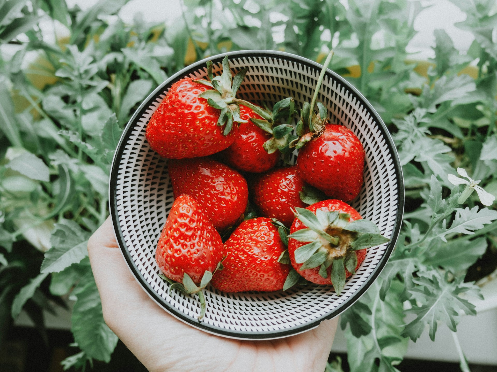 20 idées de recettes originales pour vos fraises cet été