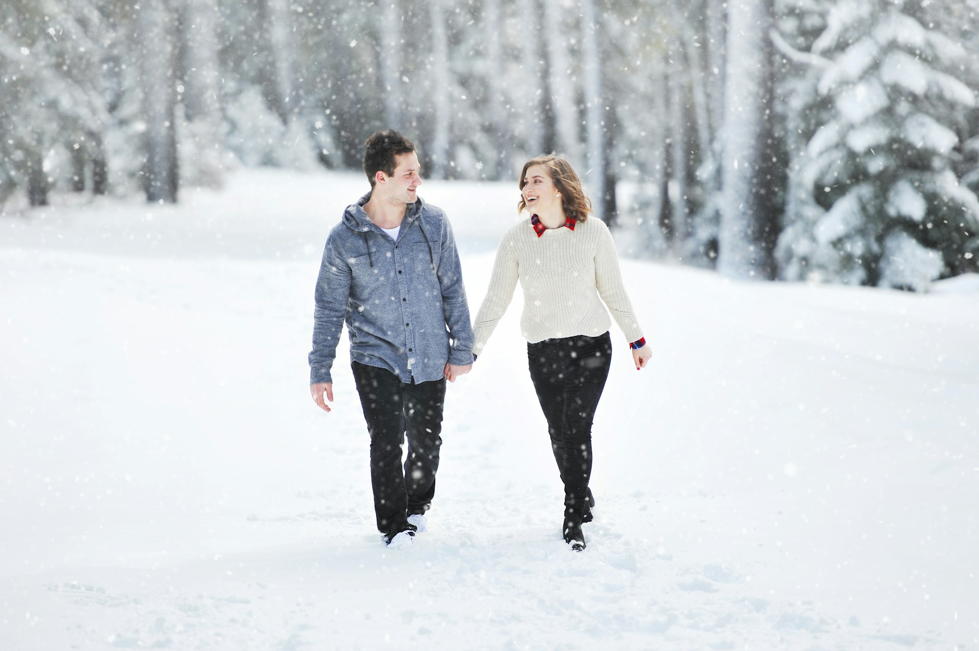 Dans la neige